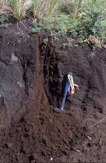MIS ESTRUCTURAS METALICAS: EL SUELO